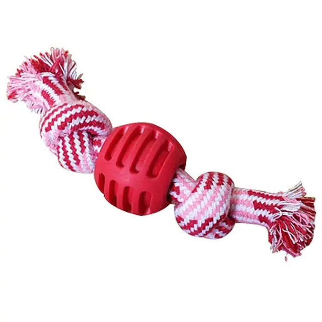 Rope Toy