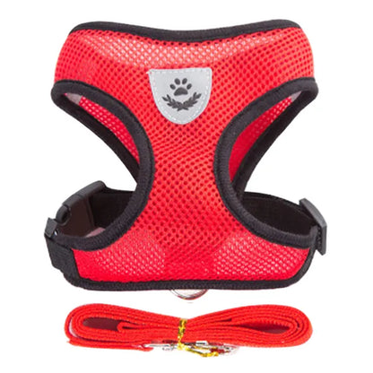 Harness Vest For Cats & Dogs