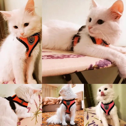 Harness Vest For Cats & Dogs