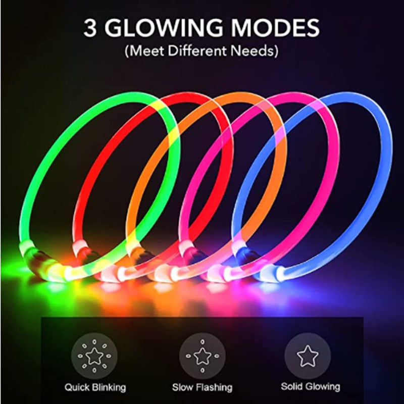 LED Light Detachable Collar