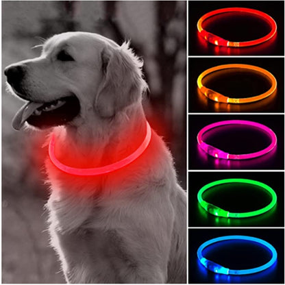 LED Light Detachable Collar