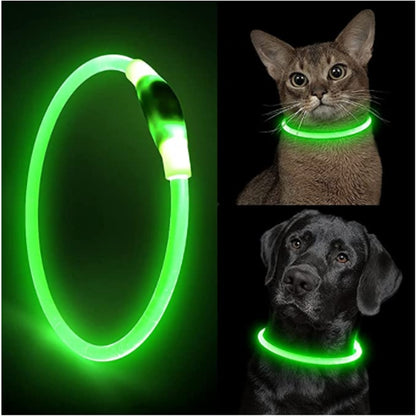 LED Light Detachable Collar