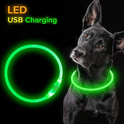 LED Light Detachable Collar