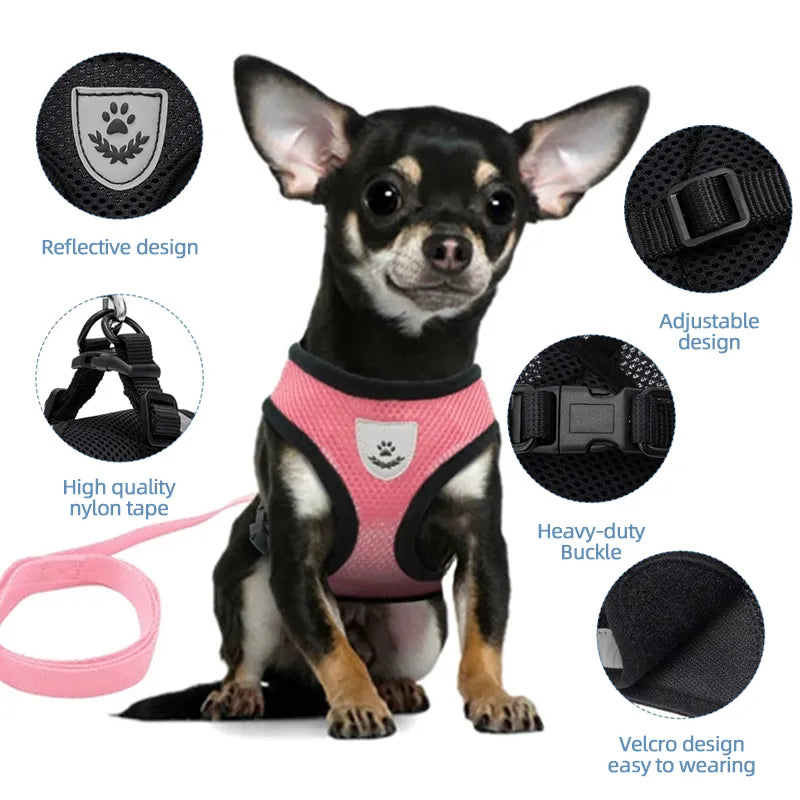 Harness Vest For Cats & Dogs