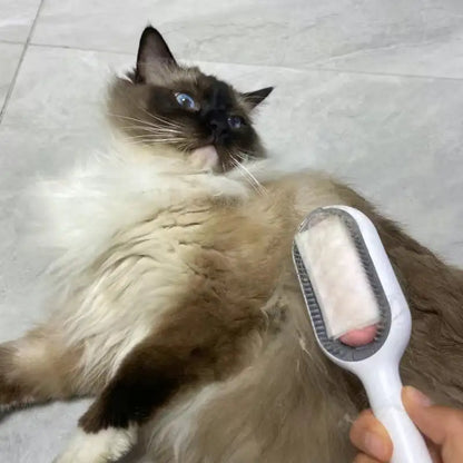 Hair Removal Brush