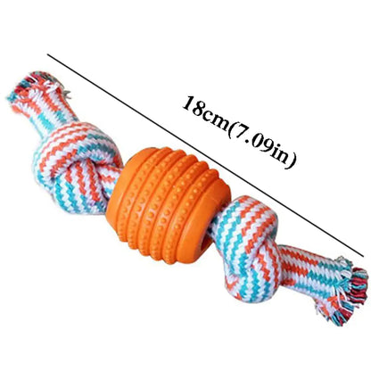 Rope Toy