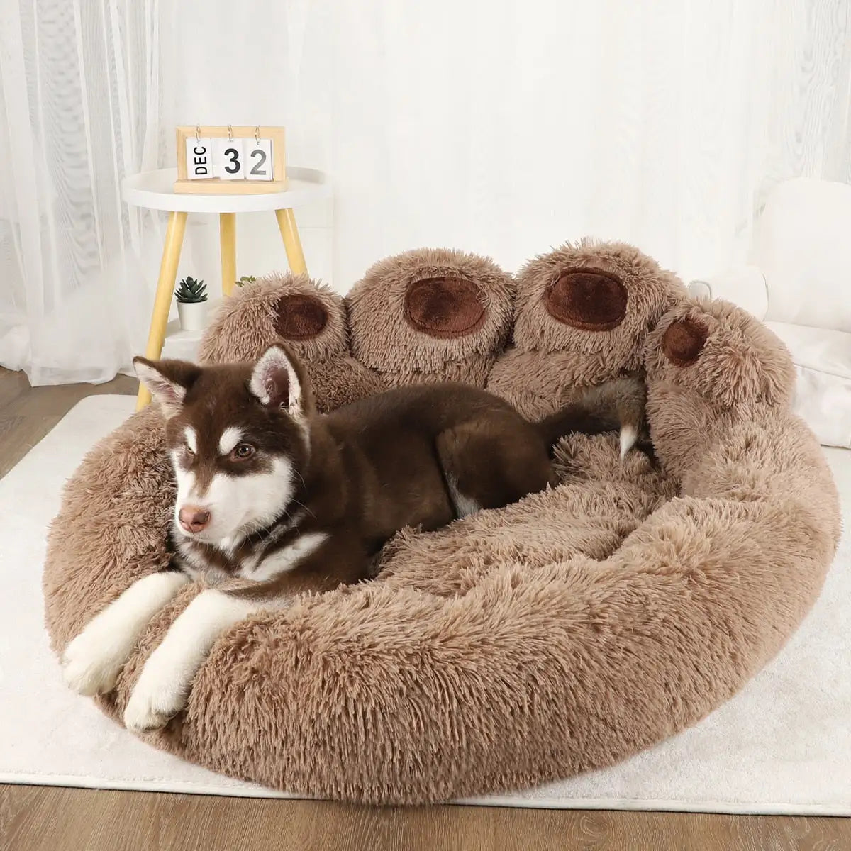 Sofa Bed for Dogs