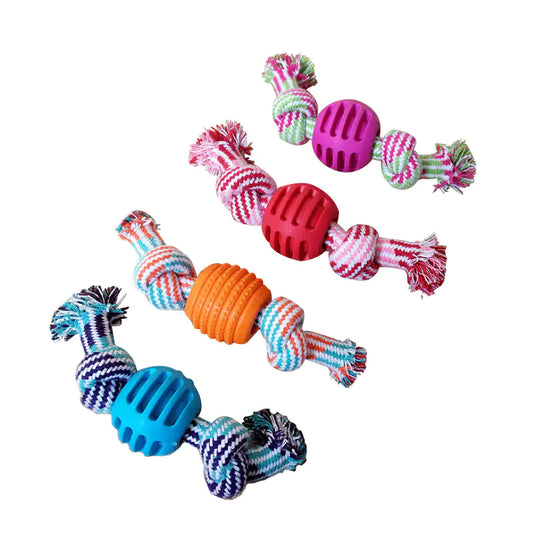 Rope Toy